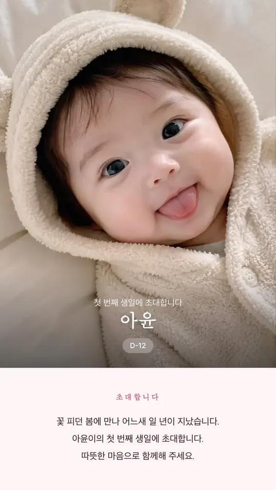 벚꽃 템플릿 미리보기