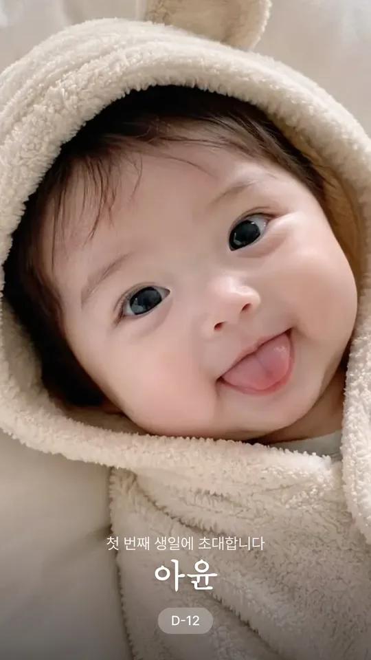 벚꽃 템플릿 미리보기